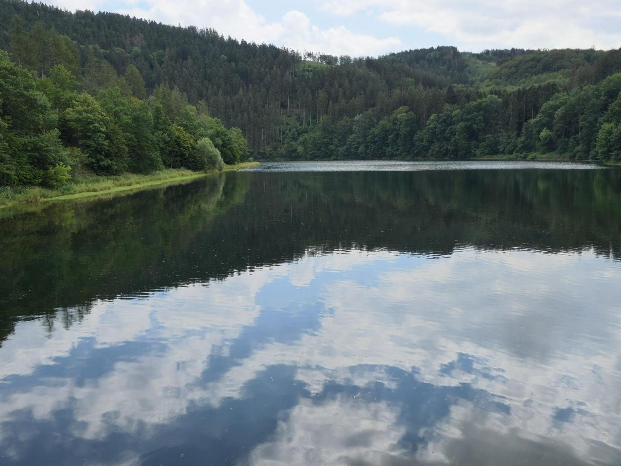 Fewo-Rosenberger-Sauerland Lennestadt Eksteriør billede